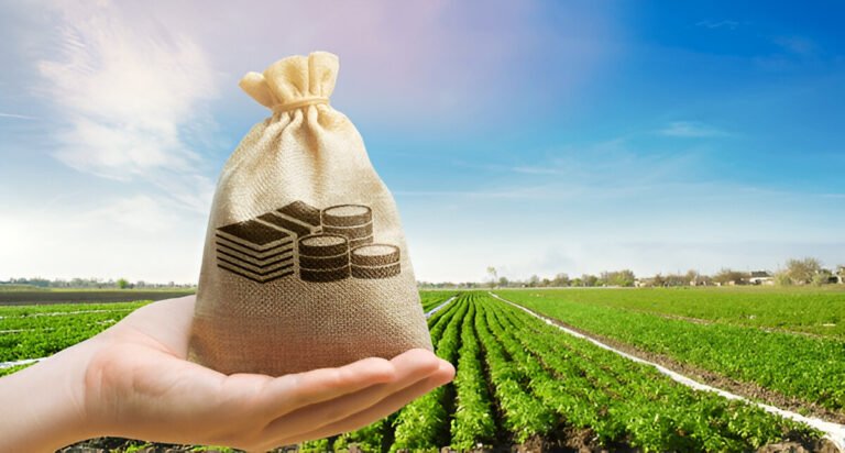 Cultivating Growth Pakistan's Agriculture Budget