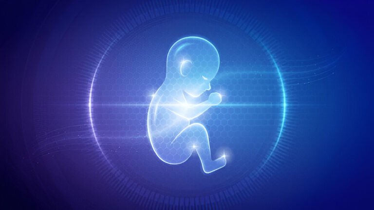 Lab-Grown Human Eggs