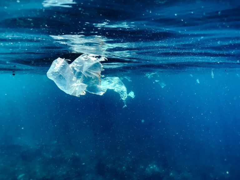 Plastic Eating Microbes Ocean's New Hope
