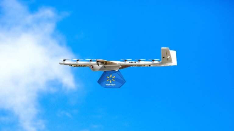 Walmart Drone Delivery