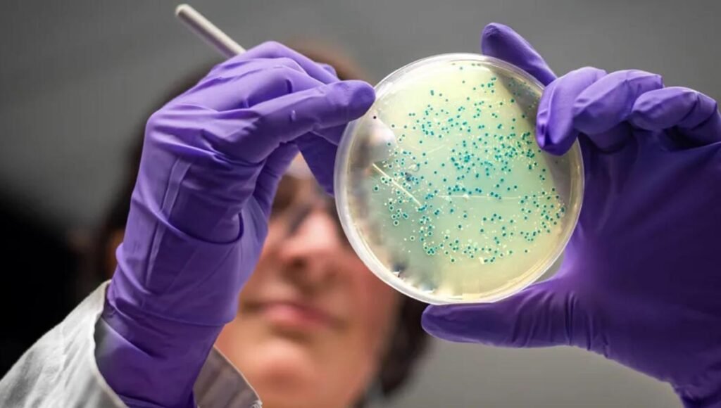 ancient bacteria vs superbugs