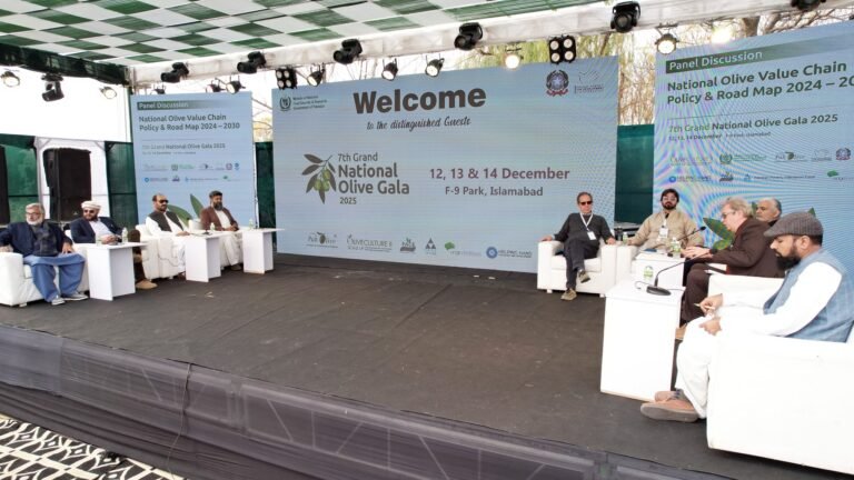 7th Grand National Olive Gala 2025